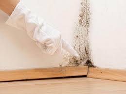 Best Basement Mold Removal  in Commerce, CA